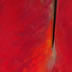 TETSURO SHIMIZU • <font color=red> ALLE FARFALLE PIACCIONO I COLORI</font> • 26/07/09-16/08/09